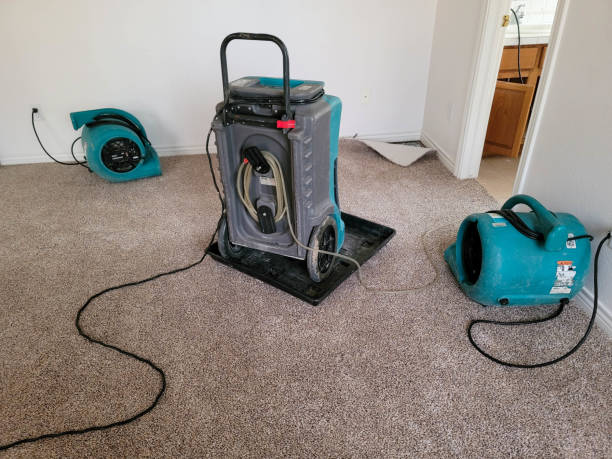 Best Ceiling water damage repair  in Wtell, LA