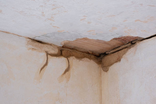 Best Water damage restoration near me  in Wtell, LA