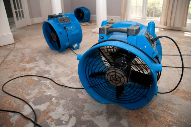 Best Water damage restoration company  in Wtell, LA