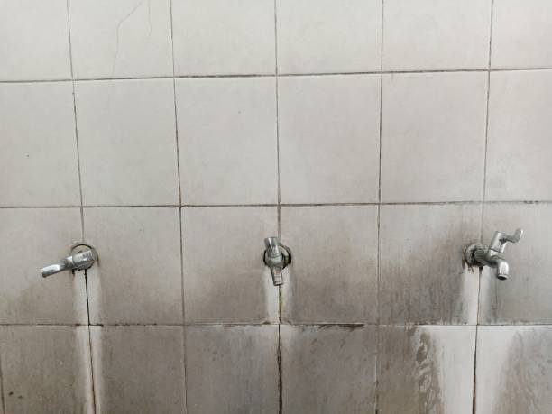 Best Flood restoration services  in Wtell, LA