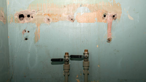 Best Fire Damage Restoration  in Wtell, LA