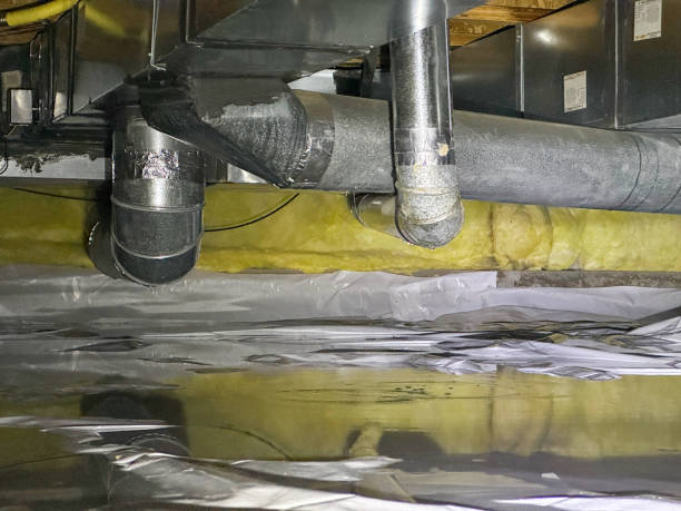 Best Basement water damage restoration  in Wtell, LA