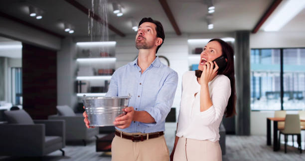 Best Flooded house restoration  in Wtell, LA