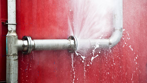 Best 24/7 water damage repair  in Wtell, LA